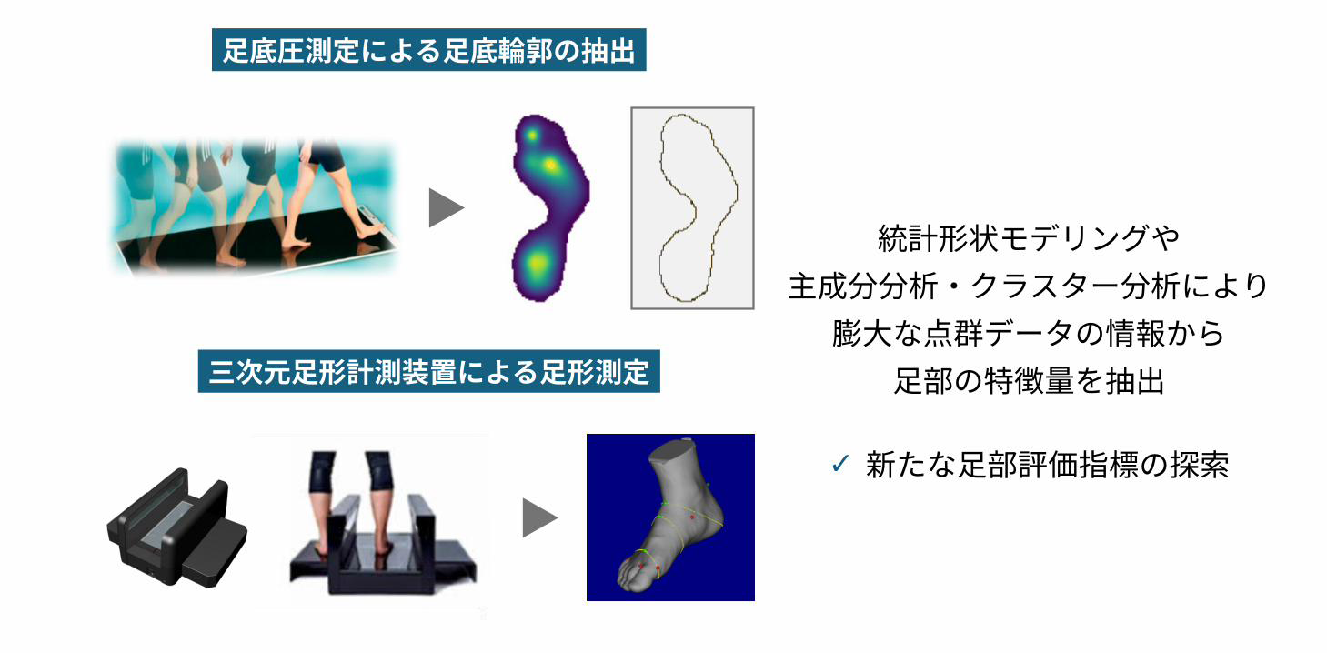 統計形状モデリングを使用した足部形状の特徴抽出