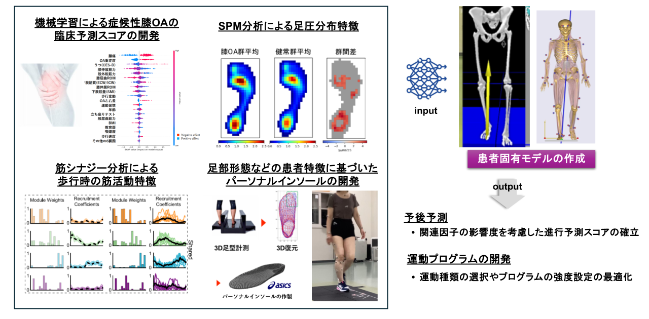 力学的特徴に基づく患者個別化治療に向けた臨床研究
