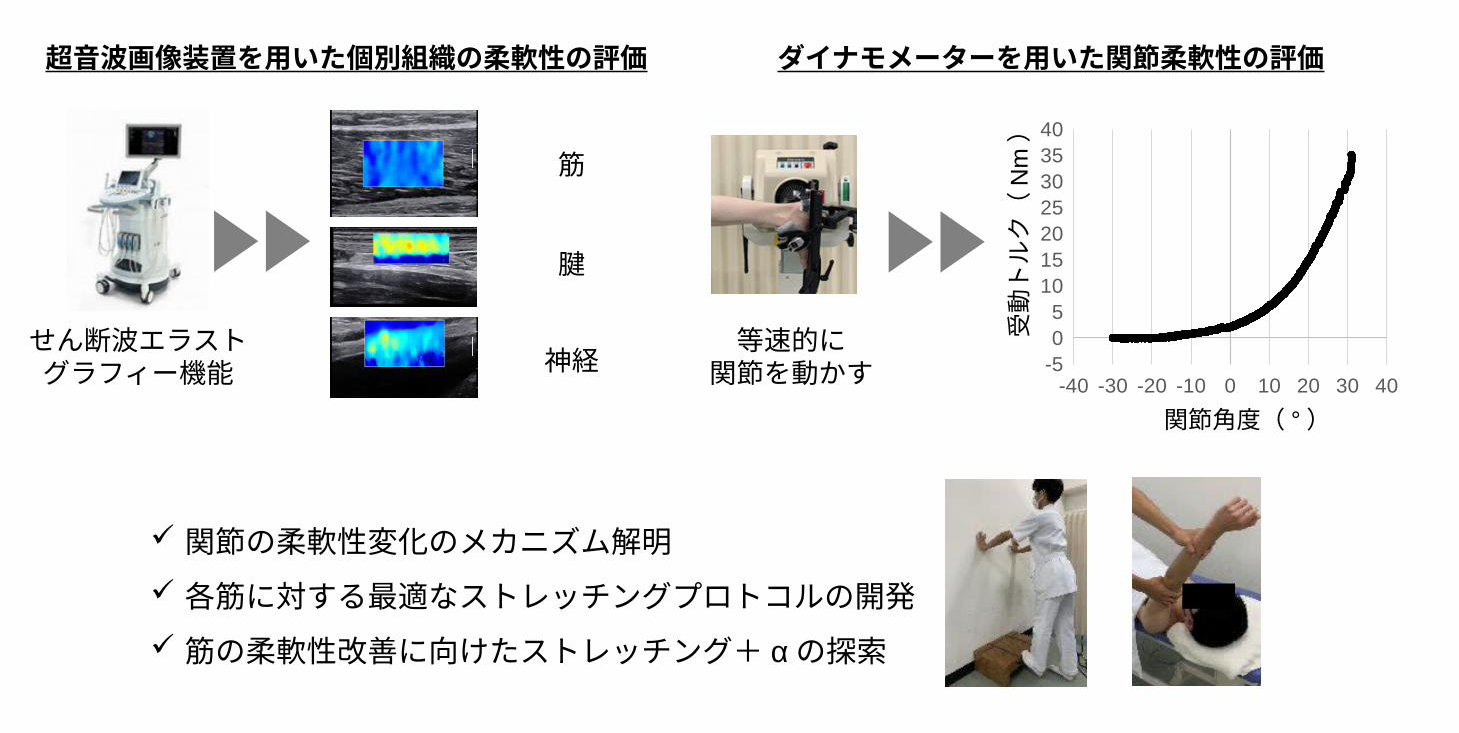 筋・関節の柔軟性に対する効果的なストレッチング方法の開発